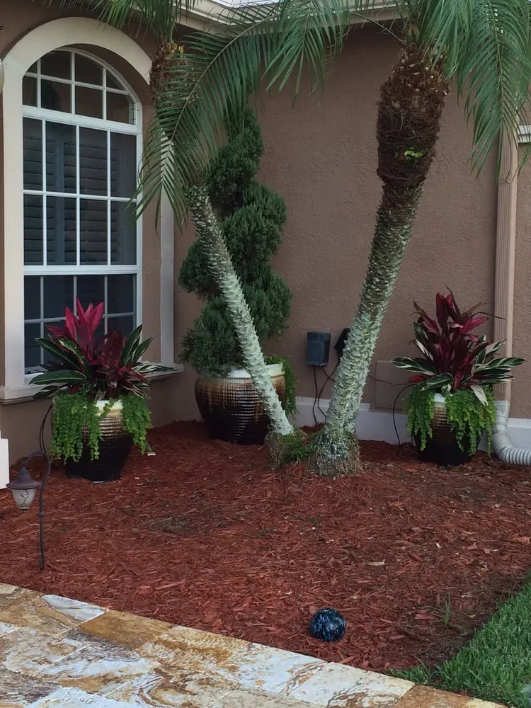 Custom landscaping services experts serving Odessa, FL - Lake Jewel Farms