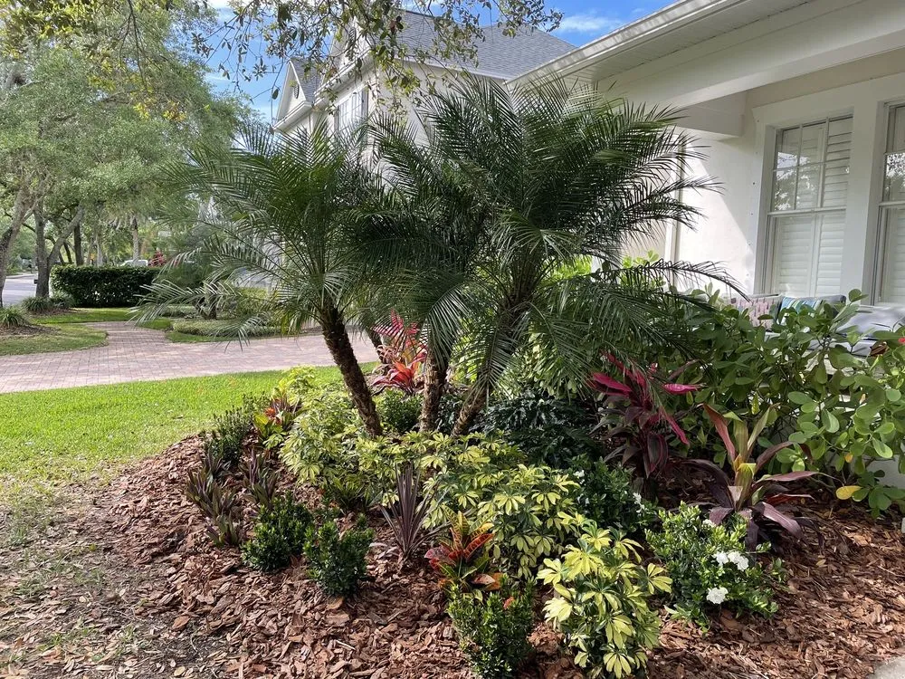 Affordable lawn mowing service experts serving Odessa, FL - Lake Jewel Farms