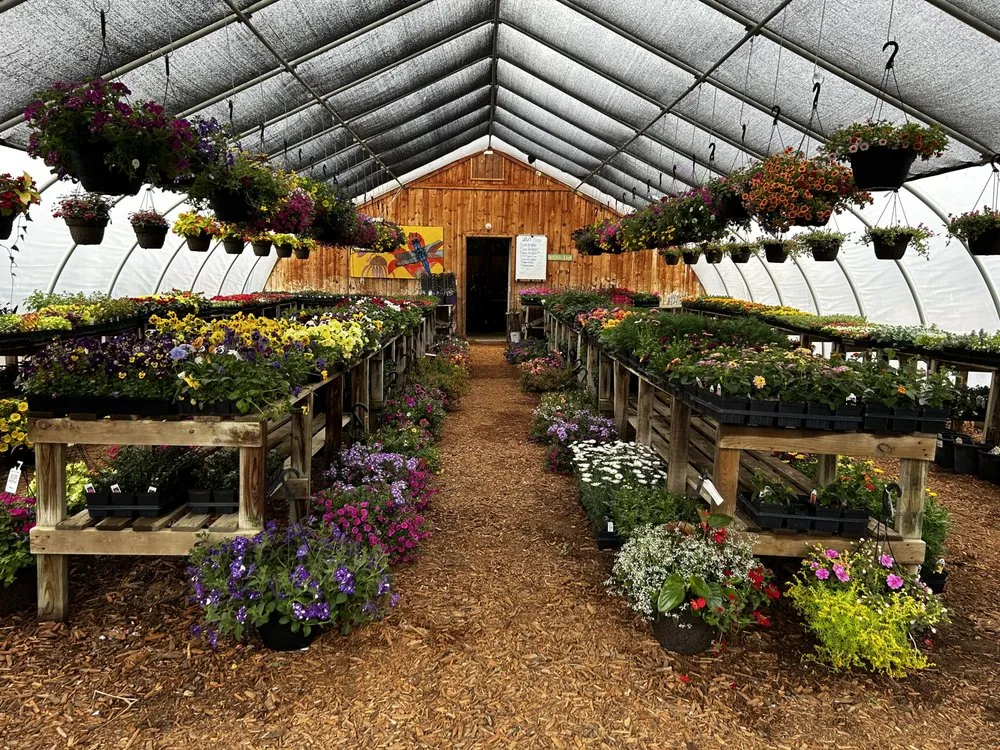 Local yard cleanup service for year-round maintenance in Osceola, WI by Lake Kountry