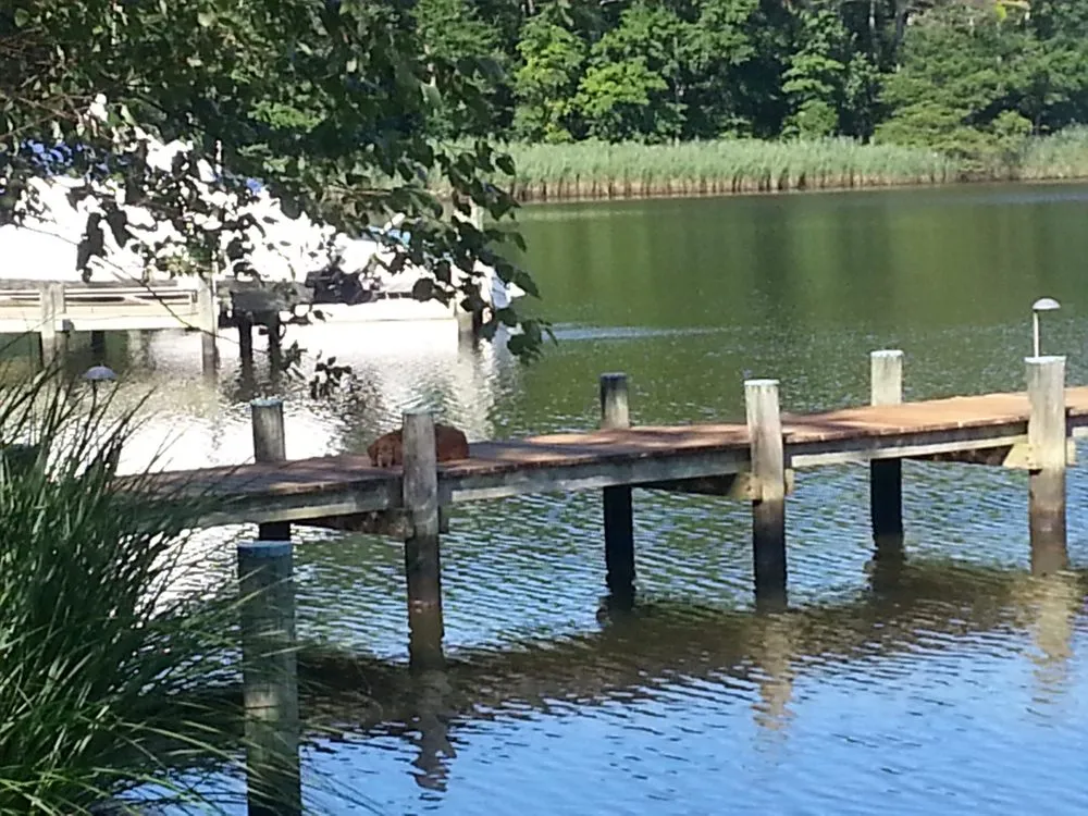 Local lawn mowing service for homes across Littleton, NC - Lake Life Property Maintenance