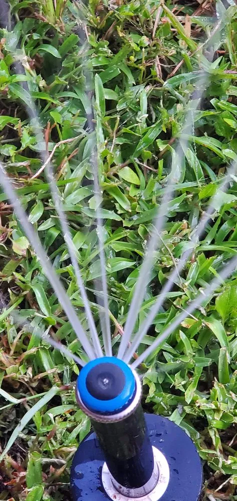 Top-rated yard maintenance for year-round maintenance across Livingston, TX - Lake Livingston Irrigation