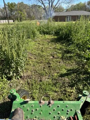 Lake Louie Lawn Care ,Handyman,Mosquito Control and Tree Cutting