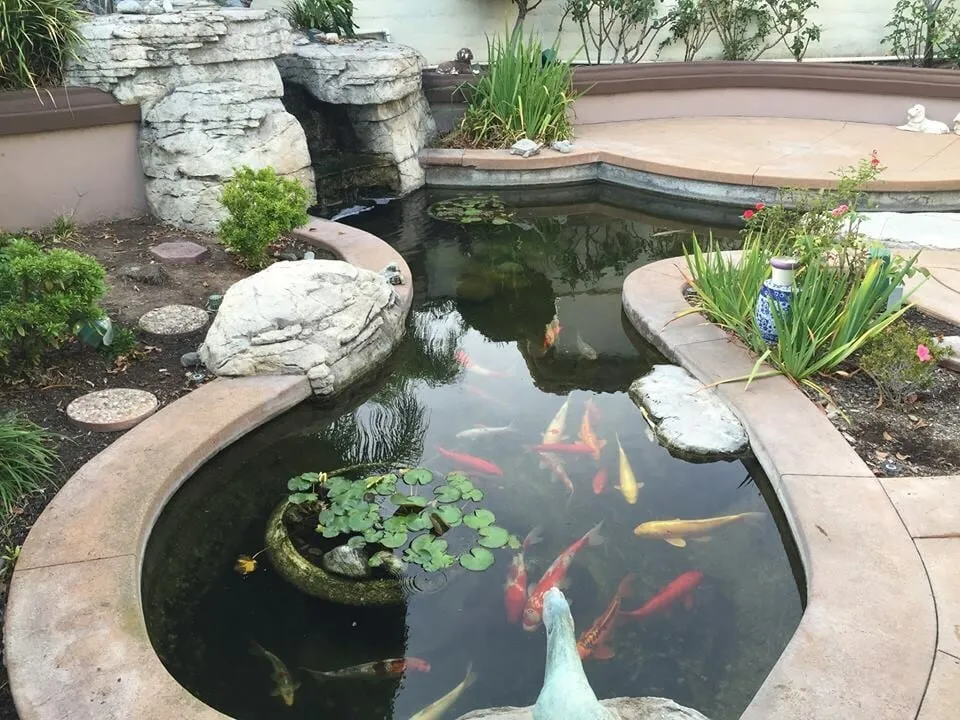 Trusted outdoor landscaping in Orange, CA - Lake Management