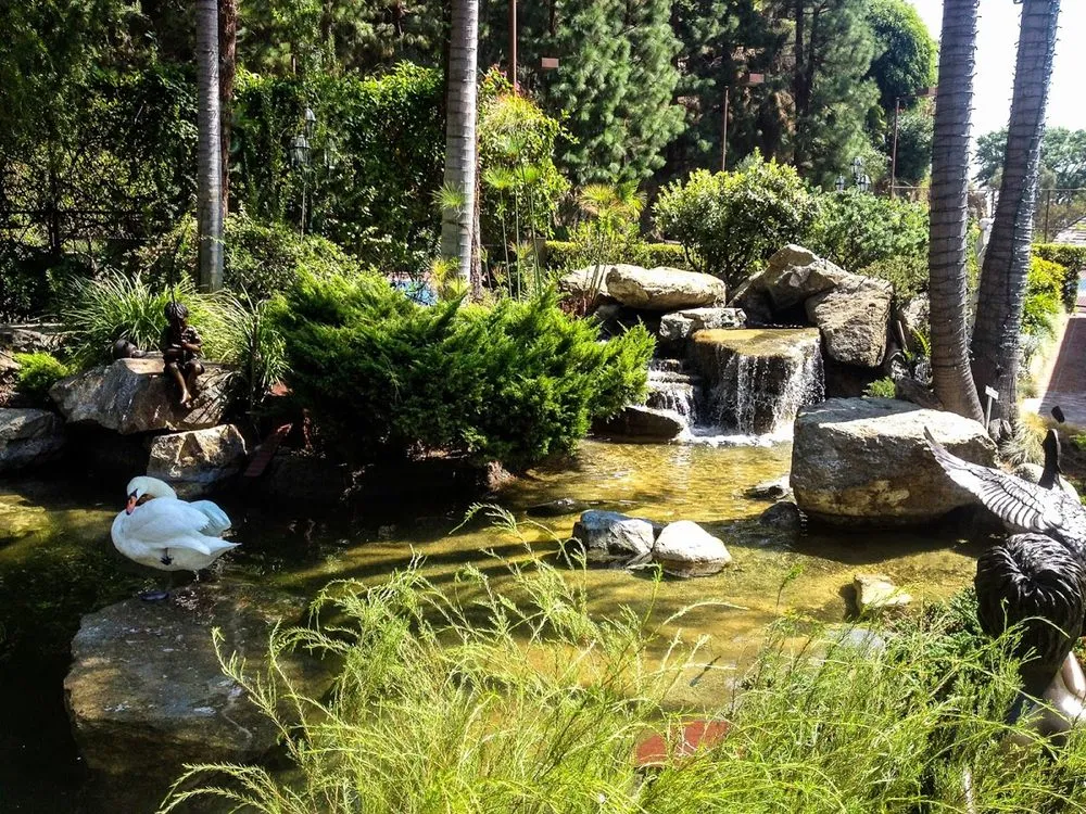 Top-rated landscaping services for outdoor upgrades in Orange, CA by Lake Management