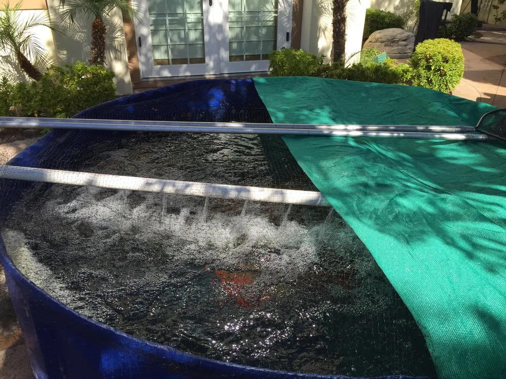 Custom yard cleanup service for beautiful yards in Orange, CA by Lake Management