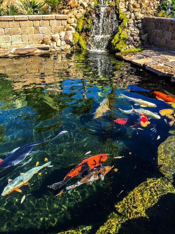 Reliable garden landscaping in Orange, CA - Lake Management