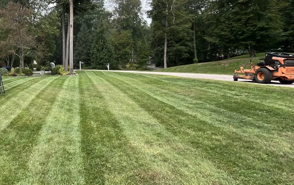 Custom landscape design in Minneola, FL by lake minneola landscaping