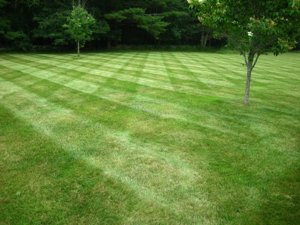 Trusted garden landscaping with custom design in Minneola, FL by lake minneola landscaping