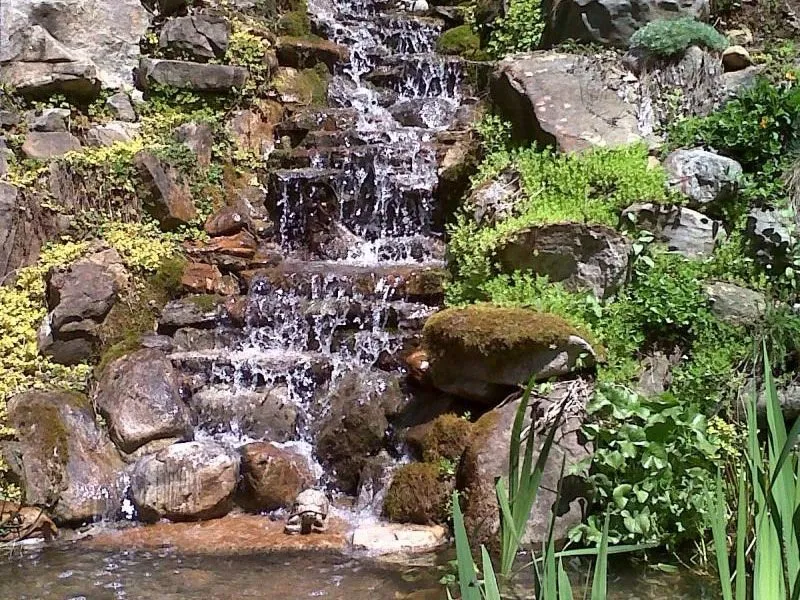 Affordable yard maintenance in Cornelius, NC - Lake Norman Hardscapes