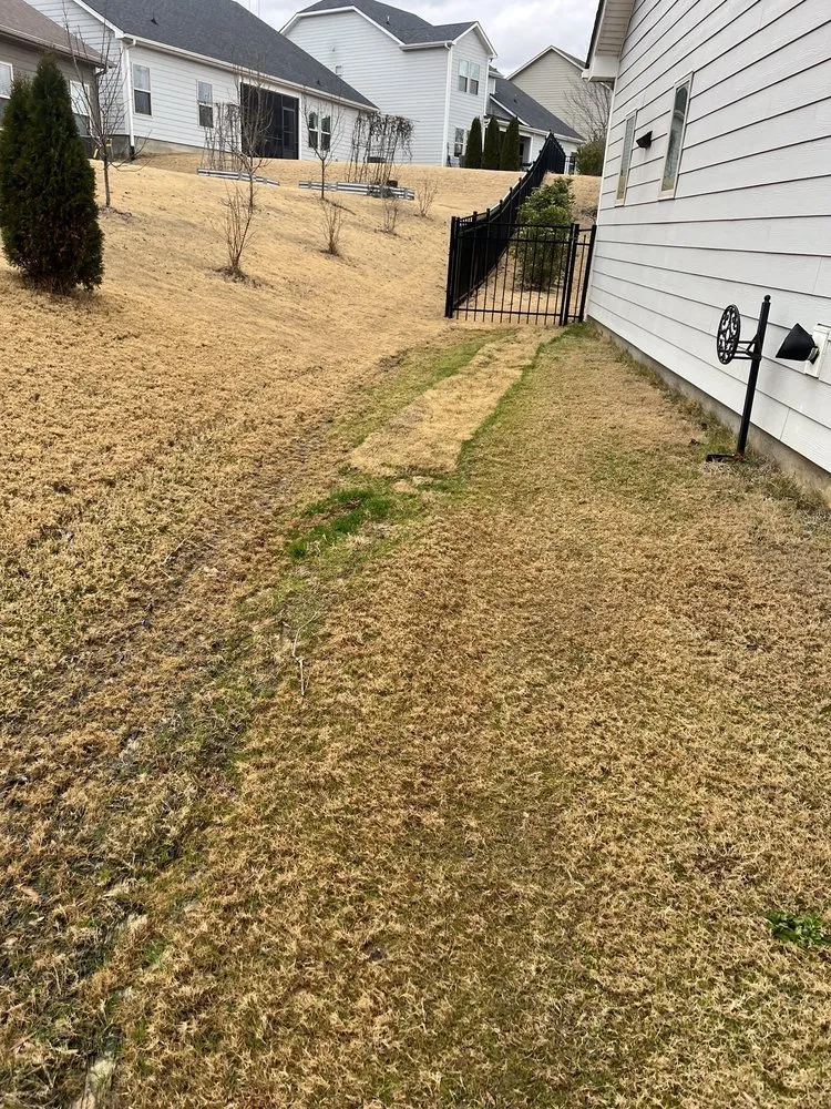 Top-rated residential landscaping in Cornelius, NC - Lake Norman Hardscapes