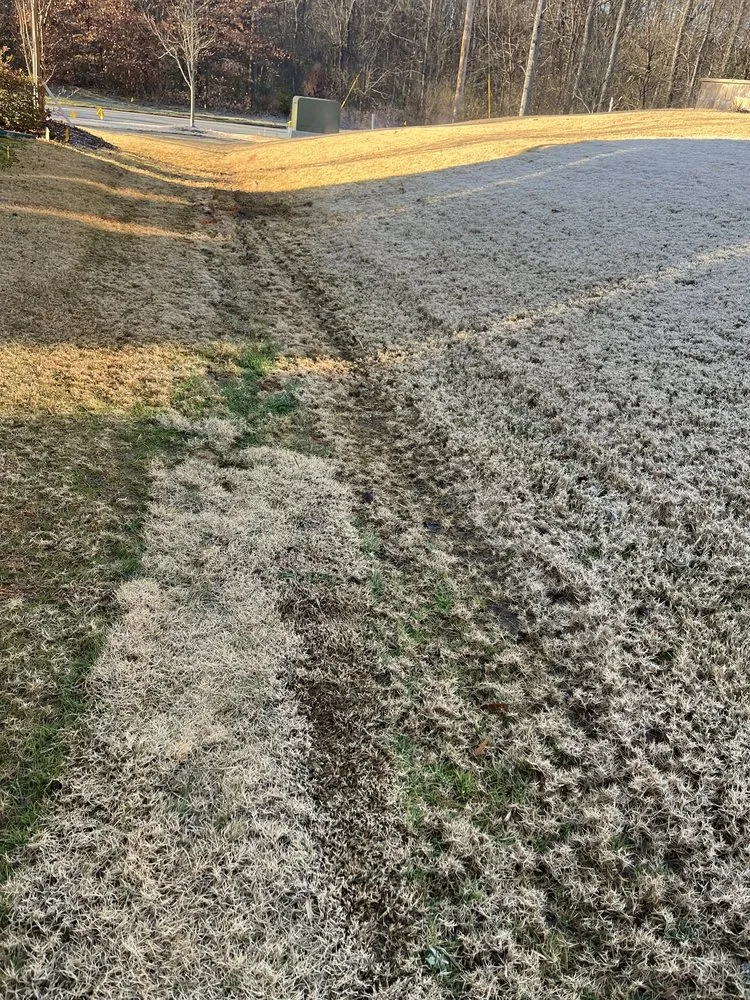 Trusted landscape installation in Cornelius, NC by Lake Norman Hardscapes