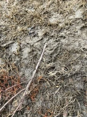 Lake Norman Hardscapes Logo