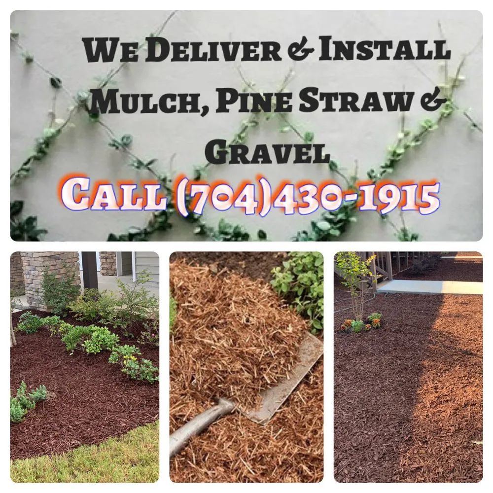 Custom yard cleanup service near you in Huntersville, NC by Lake Norman Lawn Services