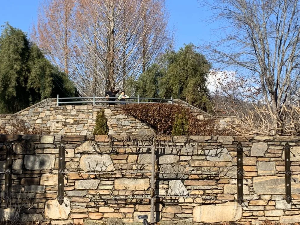 Expert yard maintenance in Huntersville, NC - Lake Norman Lawn Services