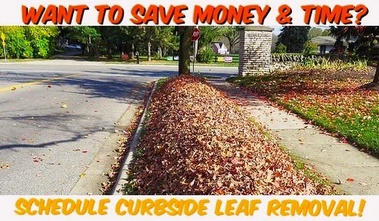 Top-rated landscaping services in Huntersville, NC by Lake Norman Lawn Services