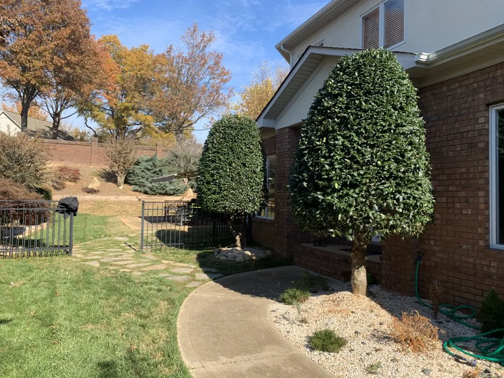Local yard cleanup service for residential properties in Huntersville, NC by Lake Norman Lawn Services