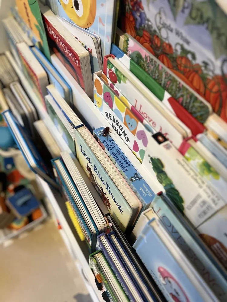 Custom outdoor landscaping in Mooresville, NC by Lake Norman Pest Control