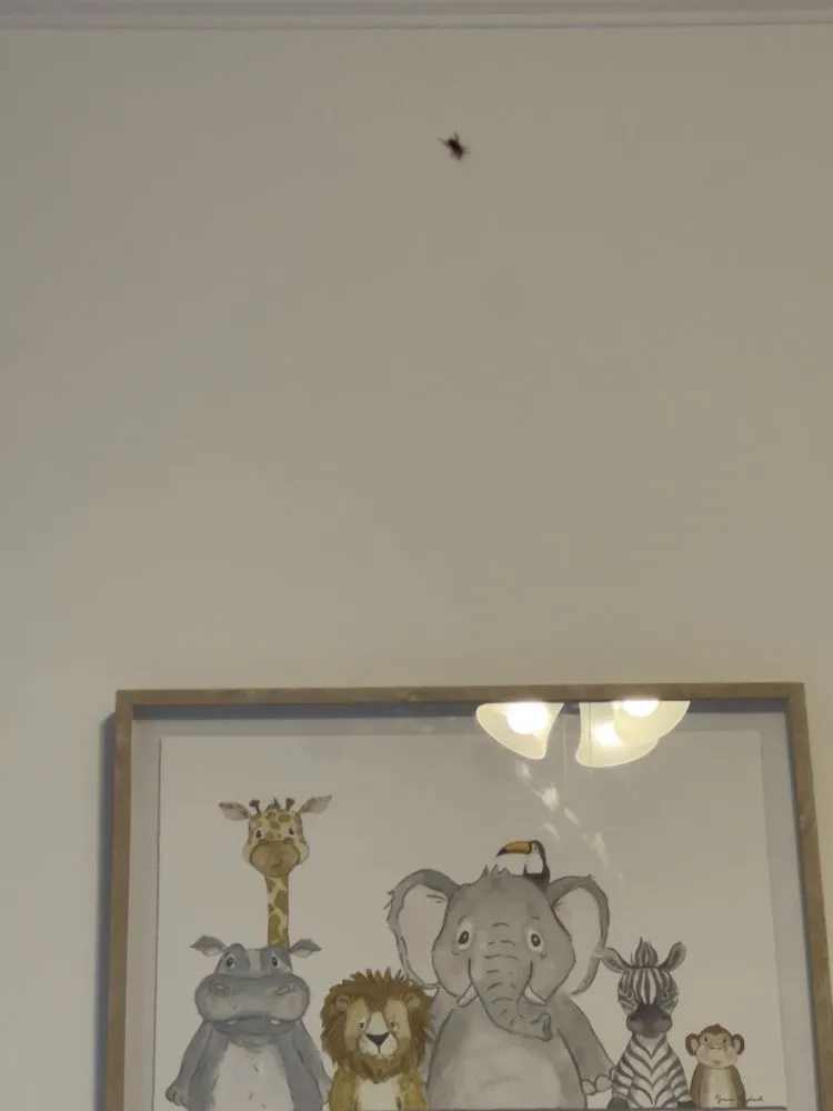 Affordable yard maintenance near you in Mooresville, NC by Lake Norman Pest Control