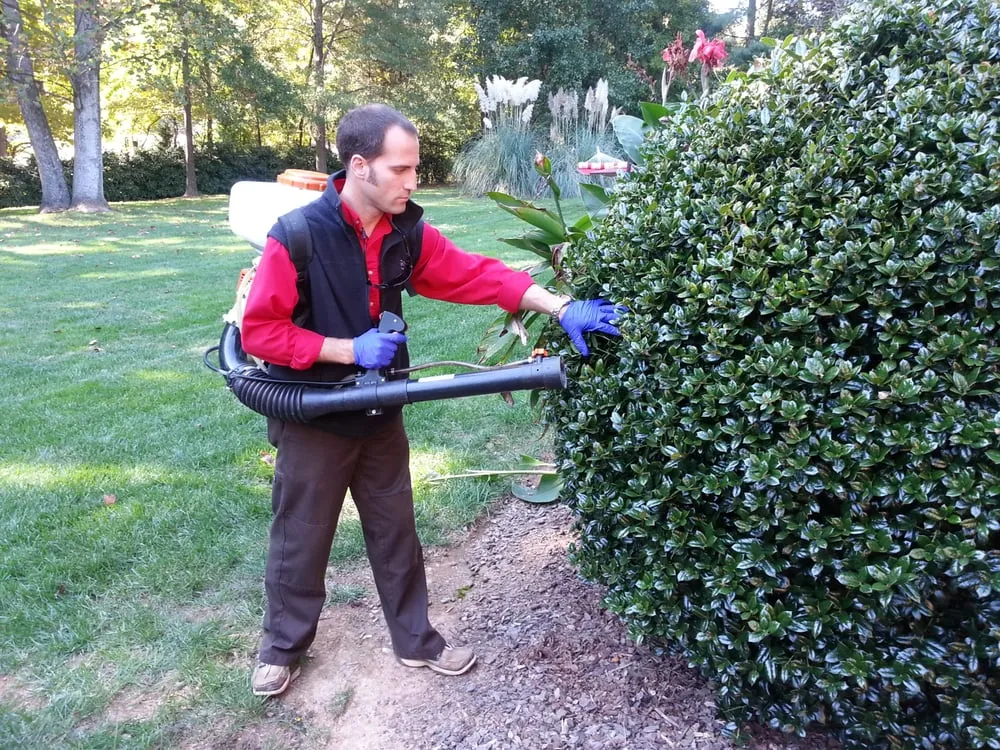 Local landscape design for beautiful yards across Mooresville, NC - Lake Norman Pest Control
