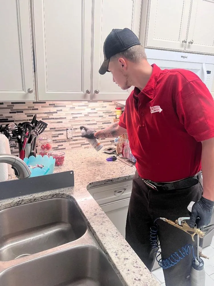 Affordable lawn care service near you across Mooresville, NC - Lake Norman Pest Control