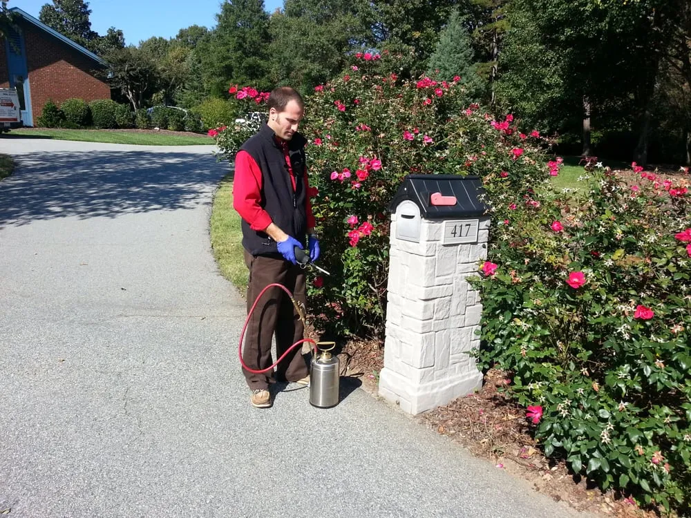 Professional outdoor landscaping in Mooresville, NC by Lake Norman Pest Control