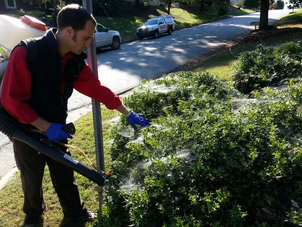 Reliable landscape installation for year-round maintenance in Mooresville, NC by Lake Norman Pest Control