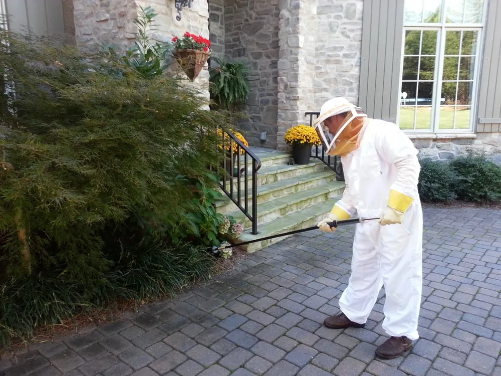 Top-rated landscape design with custom design across Mooresville, NC - Lake Norman Pest Control