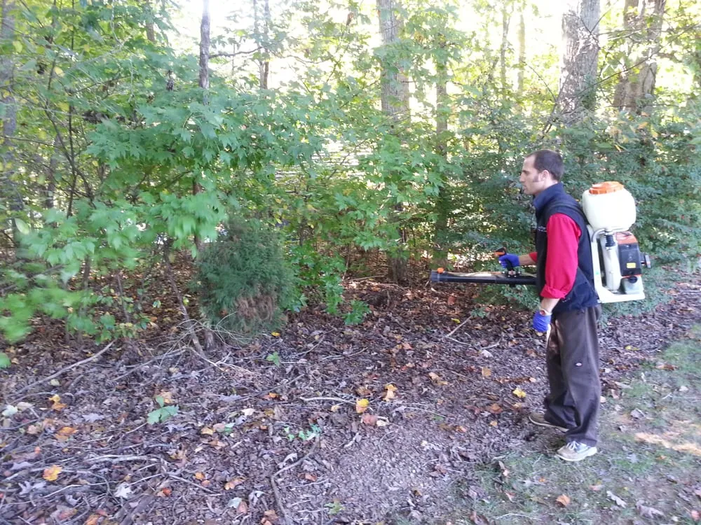 Custom residential landscaping near you across Mooresville, NC - Lake Norman Pest Control