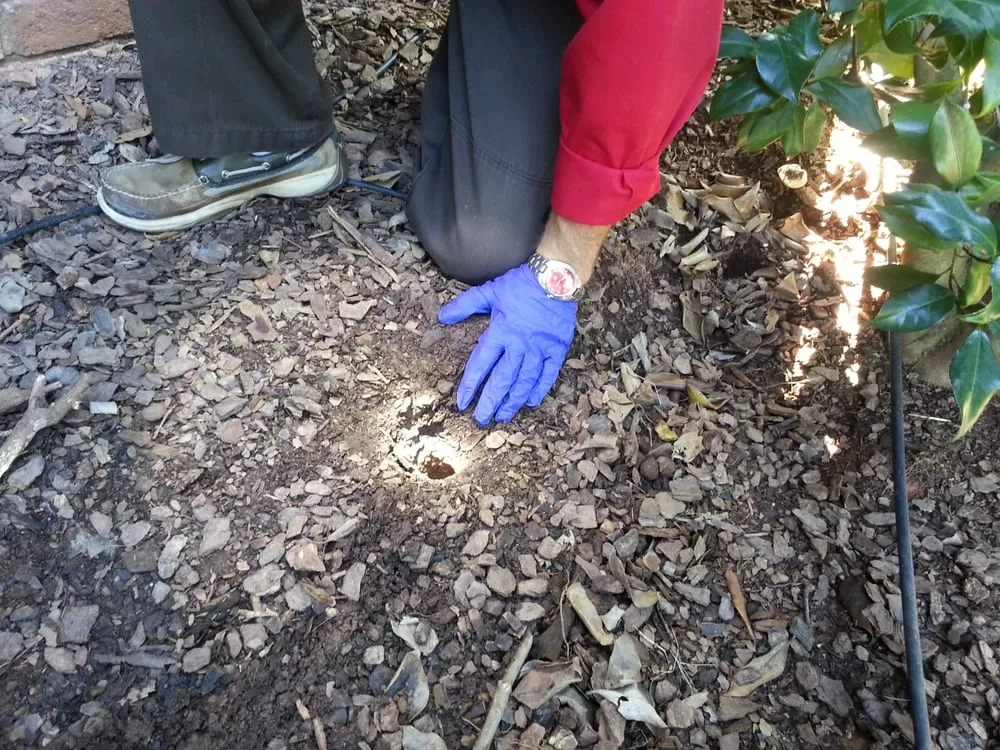 Expert landscape installation in Mooresville, NC - Lake Norman Pest Control