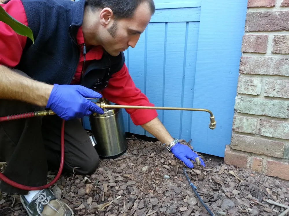 Top-rated yard cleanup service experts serving Mooresville, NC - Lake Norman Pest Control