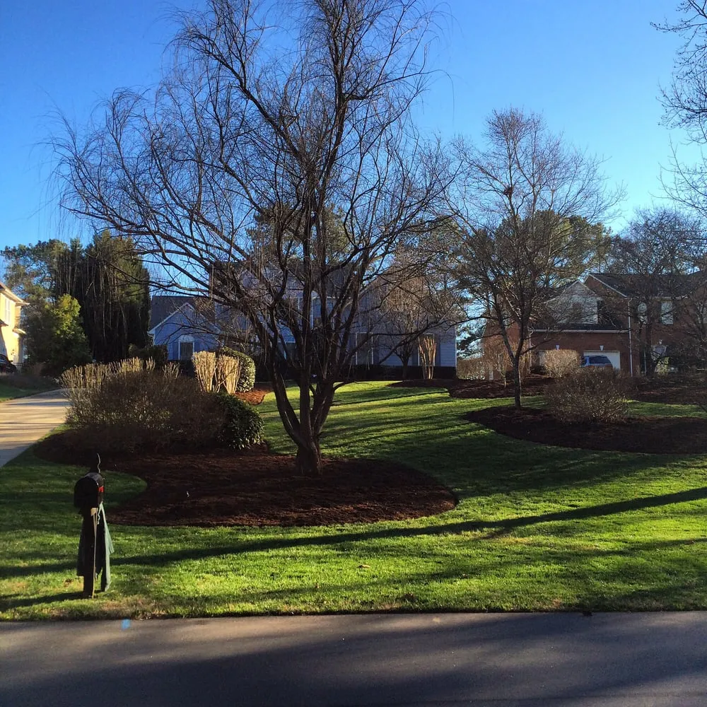 Affordable yard cleanup service for year-round maintenance across Denver, NC - Lake Norman Turf