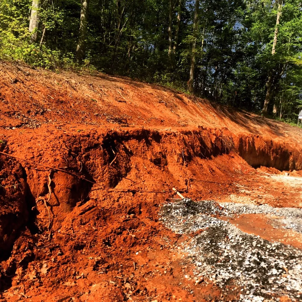 Custom landscape design in Denver, NC - Lake Norman Turf