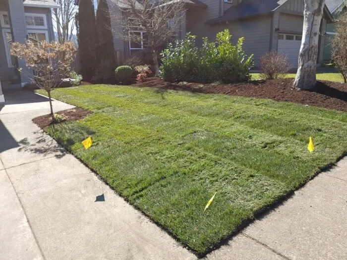 Custom residential landscaping for year-round maintenance in Portland, OR by Lake Oswego Landscaping