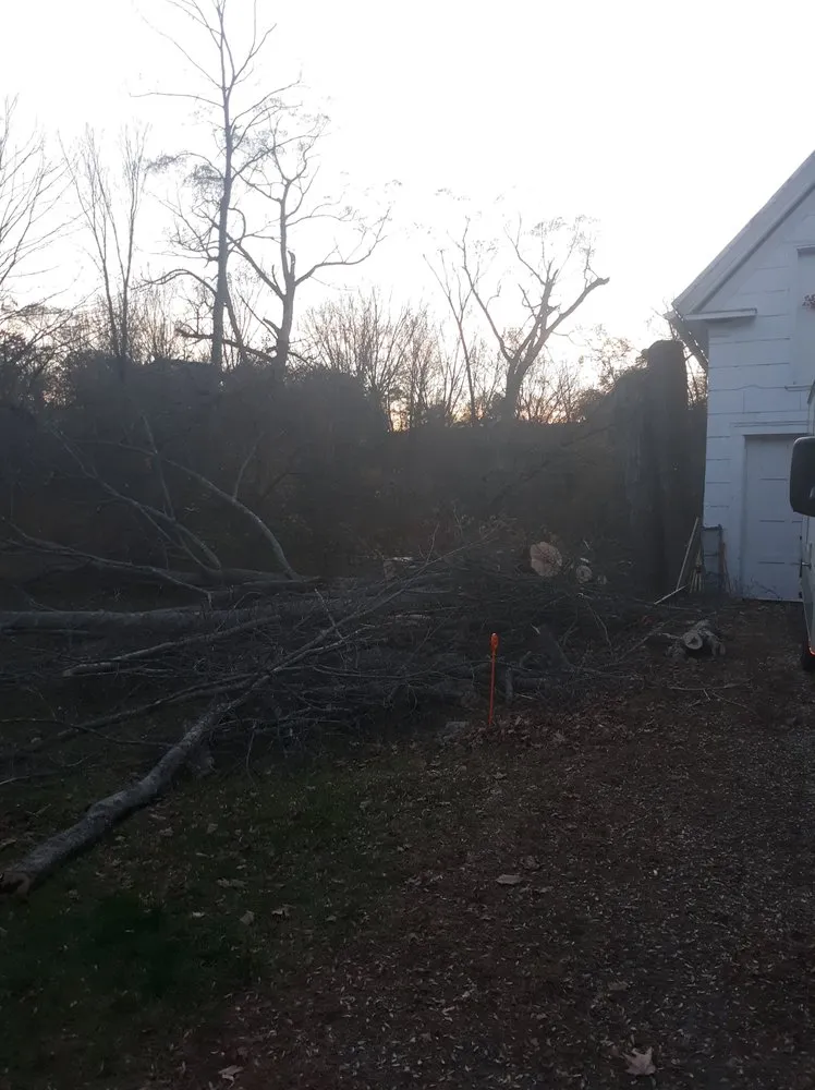 Trusted lawn care service experts serving Dixfield, ME - Lake Region Property Service