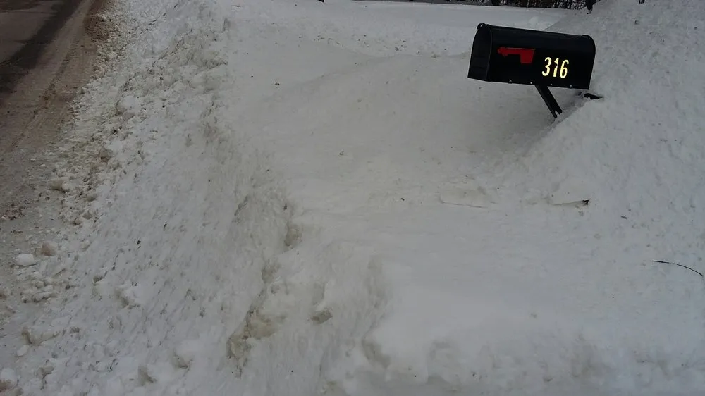 Local residential landscaping for homes in Portland, ME by Lake Region Property Service