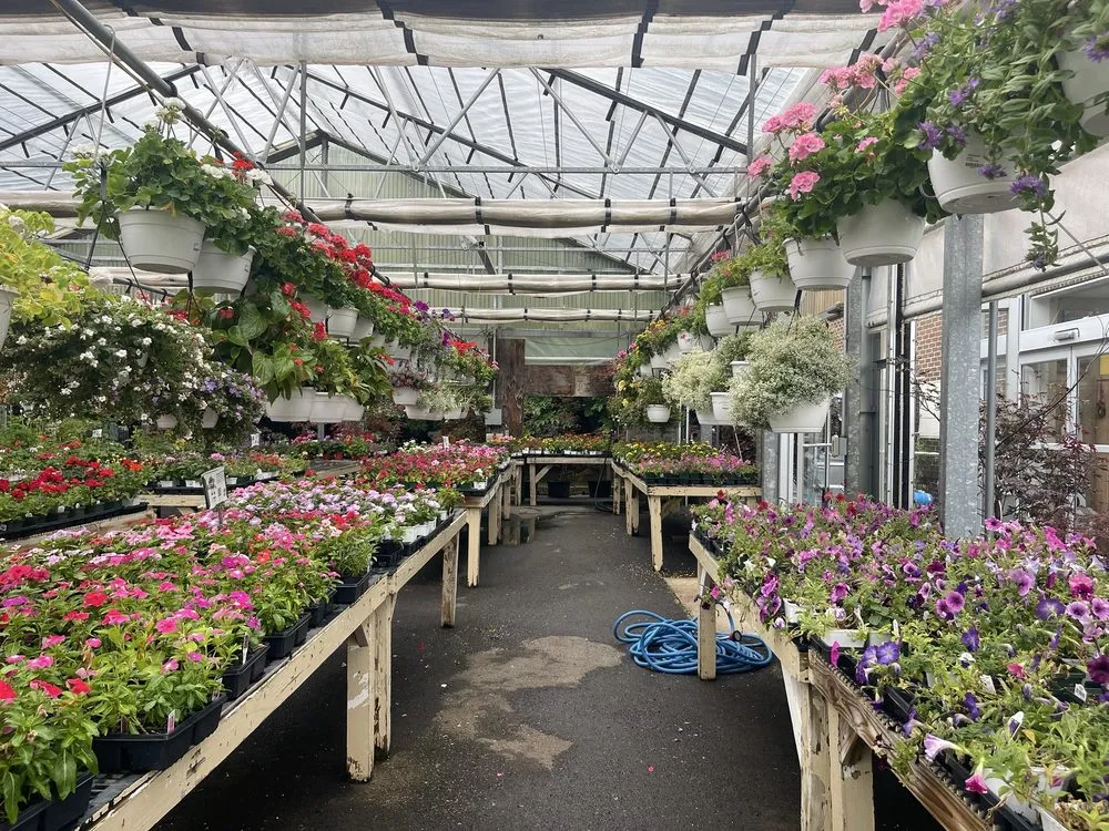 Reliable lawn care service for outdoor upgrades across Woodbridge, VA - Lake Ridge Nursery