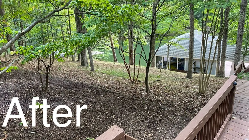 Professional yard cleanup service in Leasburg, NC by Lake Side Home Services