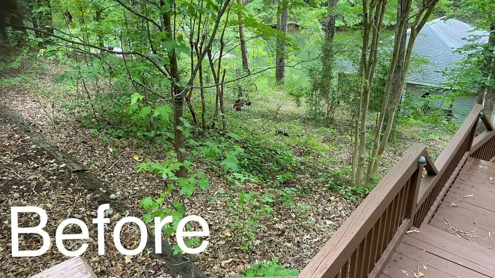 Professional lawn care service for residential properties in Leasburg, NC by Lake Side Home Services