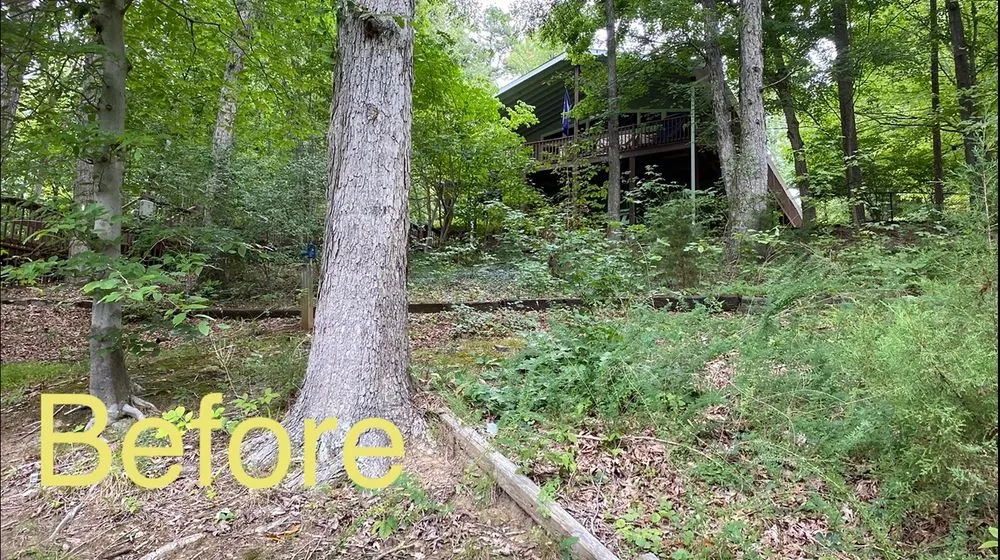 Professional lawn care service for residential properties in Leasburg, NC by Lake Side Home Services