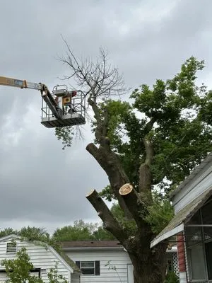 Lake State Landscaping & Snow Removal