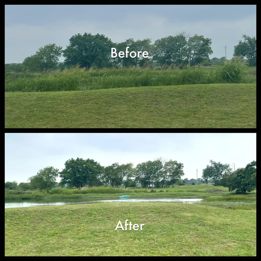 Affordable landscaping services in Madill, OK by Lake Texoma Lawn Services