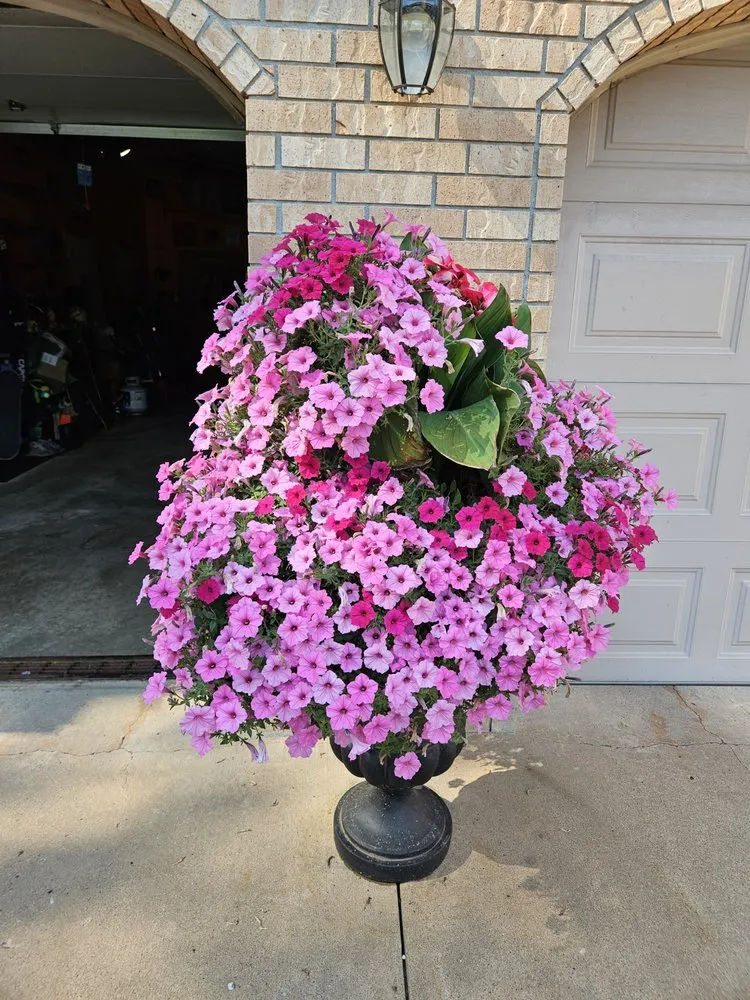 Top-rated landscaping services in Baxter, MN by Lake View Roofing and Lawn Service