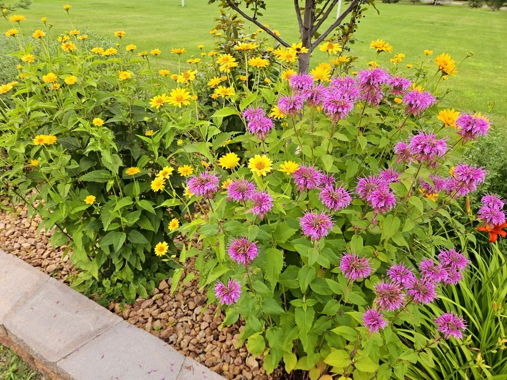 Reliable outdoor landscaping for residential properties across Baxter, MN - Lake View Roofing and Lawn Service