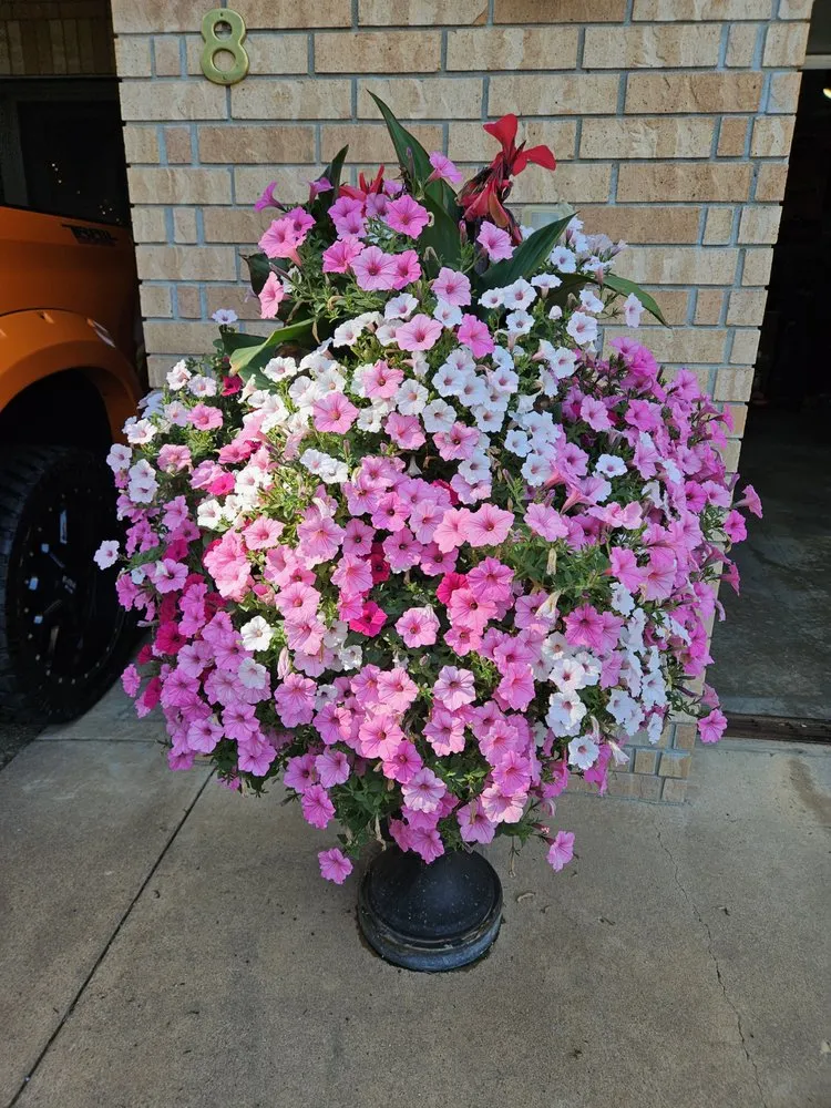 Professional landscaping services experts serving Baxter, MN - Lake View Roofing and Lawn Service