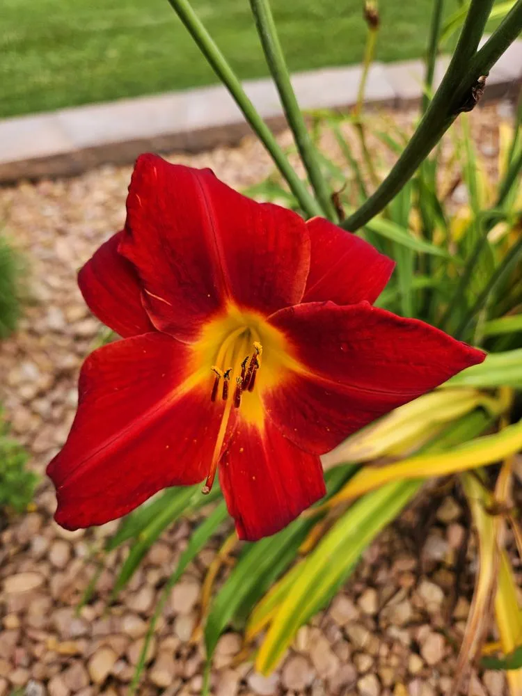 Top-rated garden landscaping for year-round maintenance in Baxter, MN by Lake View Roofing and Lawn Service