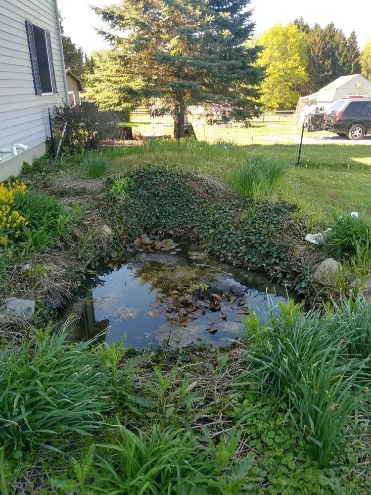 Reliable landscaping services in Seville, OH - Lake Wizard