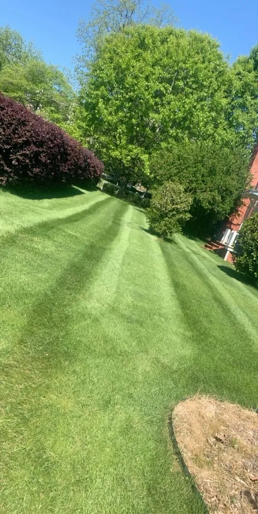 Local outdoor landscaping in Guntersville, AL - LakeCity Lawncare