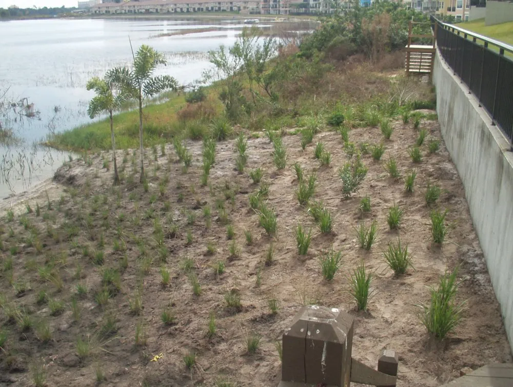 Custom yard cleanup service for residential properties in Orlando, FL by Lakefront Designs