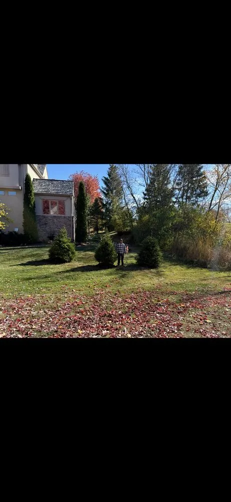 Reliable yard cleanup service for outdoor upgrades across Lindenhurst, IL - Lakefront Group