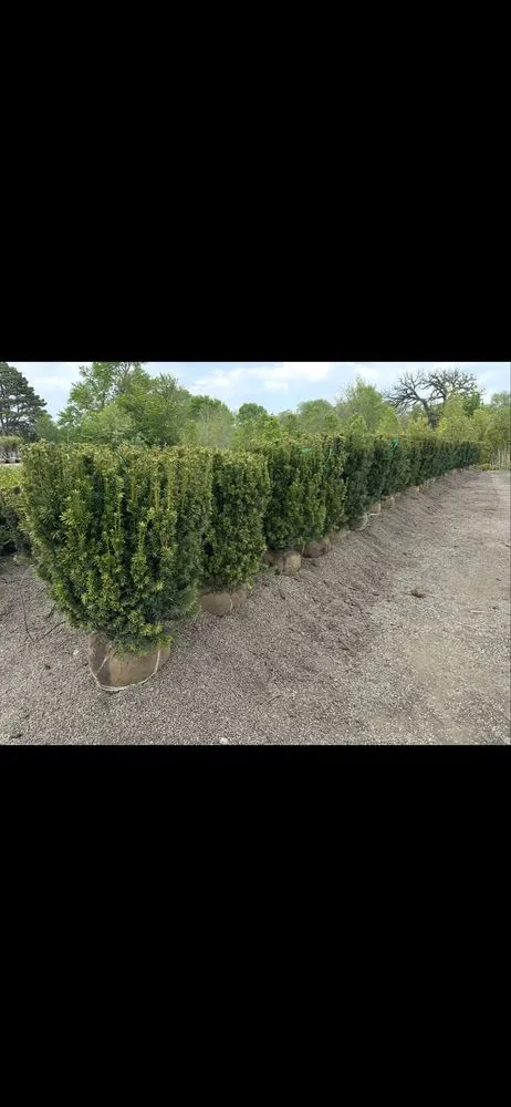 Affordable yard cleanup service for year-round maintenance in Lindenhurst, IL by Lakefront Group